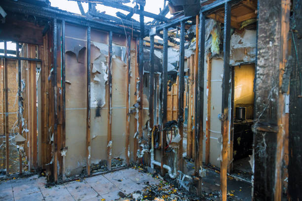 Professional Smoke Damage Removal technician working in Edna, TX